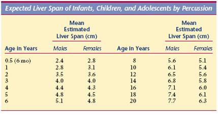 Pediatric Liver Size Chart